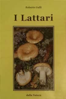 lattari02.jpg