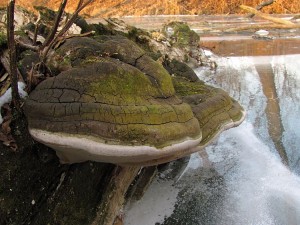 120212_pi.jpg