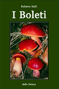 boleti200x300.jpg