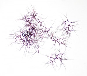 BovistaNigr.Kapilicium02.jpg