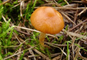 DSC03031.JPG