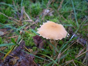 DSCN1632.JPG