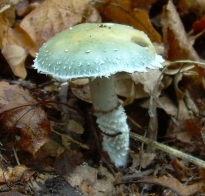 DSCN3374.JPG