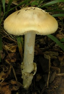 DSCN9849.JPG