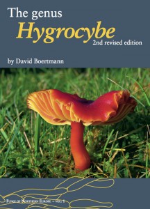 Hygrocybe_ny[1].jpg