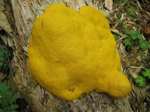 IMG_1267.jpg