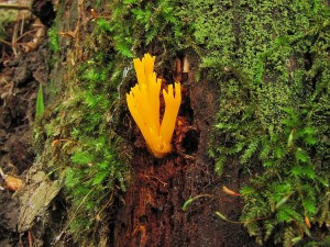 IMG_2104.jpg