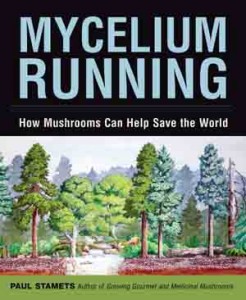 mycelium running.jpg