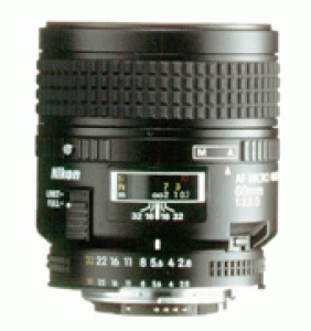 Nikon 60.gif