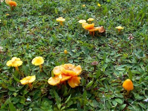 PICT0003-5.JPG