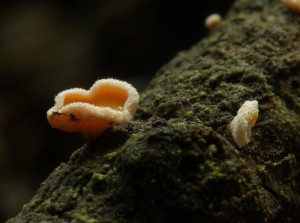 SG109571.jpg